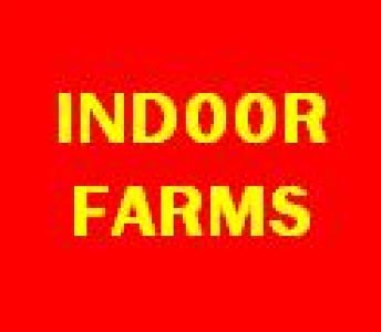 Better Earth Productions