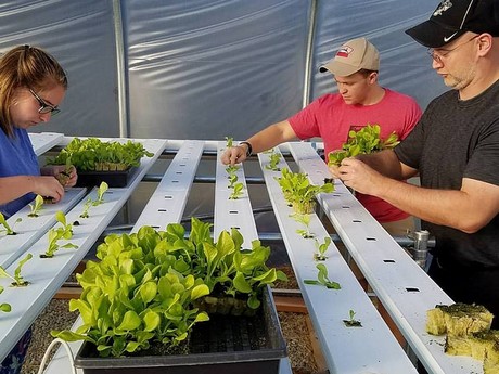 Hydroponics Indoor Farm