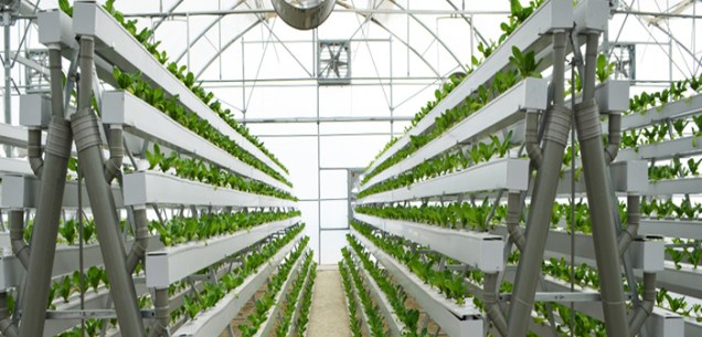 Indoor Farms For Better Quality Food System Production