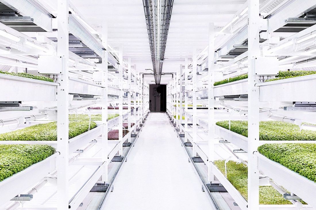 Indoor Hydroponics Farms For Better Quality Food Production Line