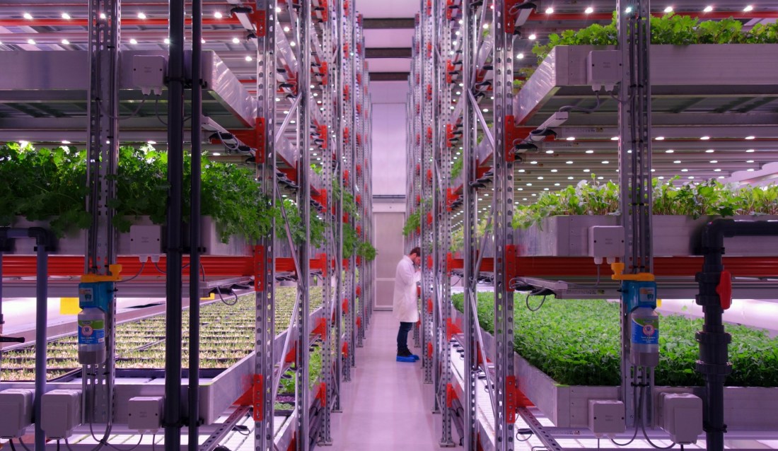 Indoor Hydroponics Farms For Better Quality Food Production System