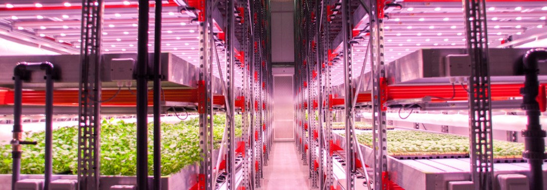 Indoor Hydroponics Farms For Better Quality Food Production Systems