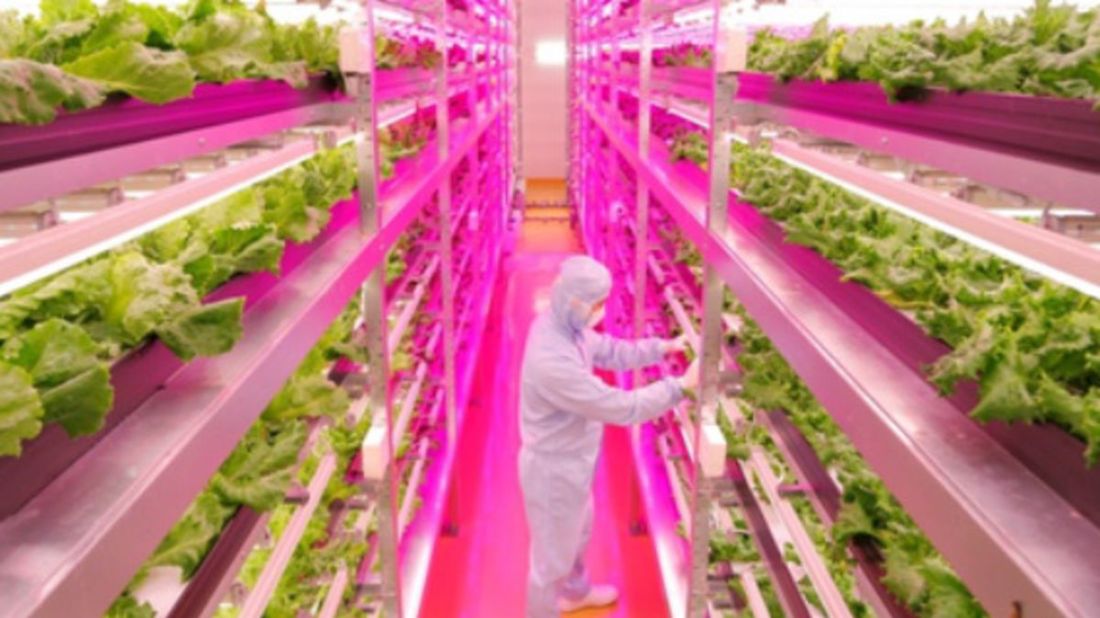 Indoor Hydroponics Farms For Better Quality Food Productions Output