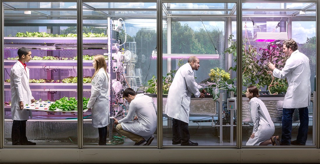 Indoor Hydroponics Farms For Better Quality Food Productions With White Labors