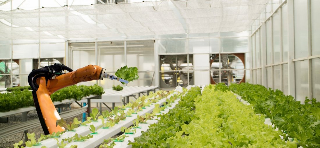 Next Technology For Indoor Farms By Robotic Machines
