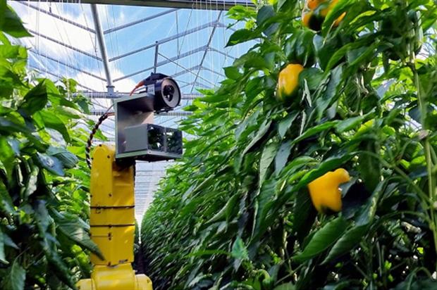 Robotic Camera For Sweeper Tasks