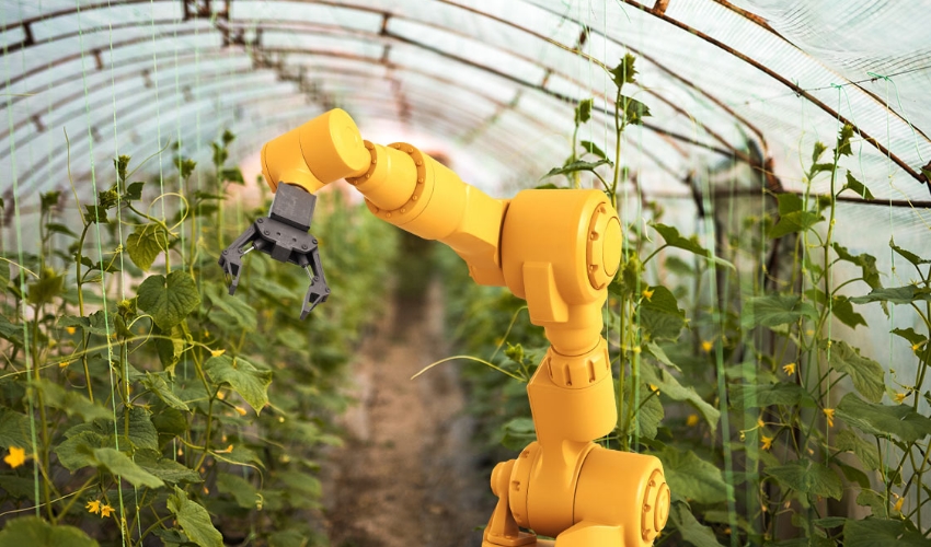 Robotic Hand Machine In Indoor Farm