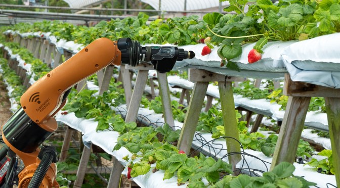 Robotic Harvester Farmbot