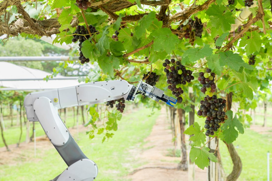 Robotic Harvesters Accuracies For Selections