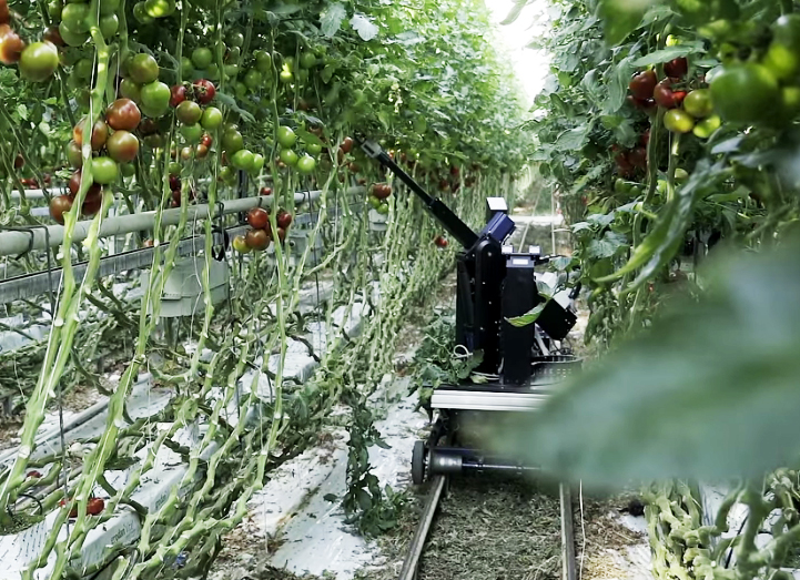 Robotic Harvesters Precisions