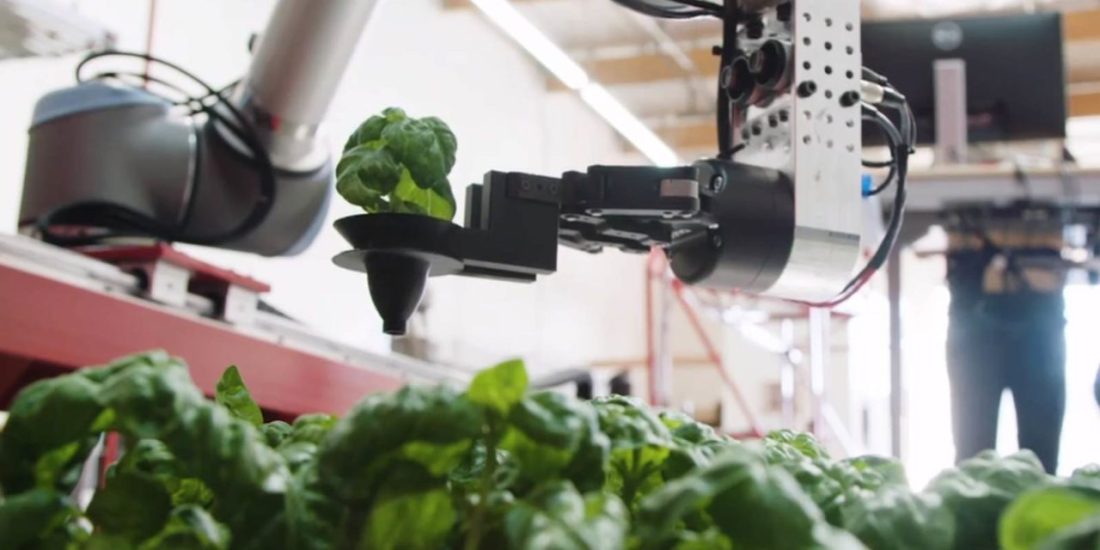 Robotic Indoor Farms by AI Program