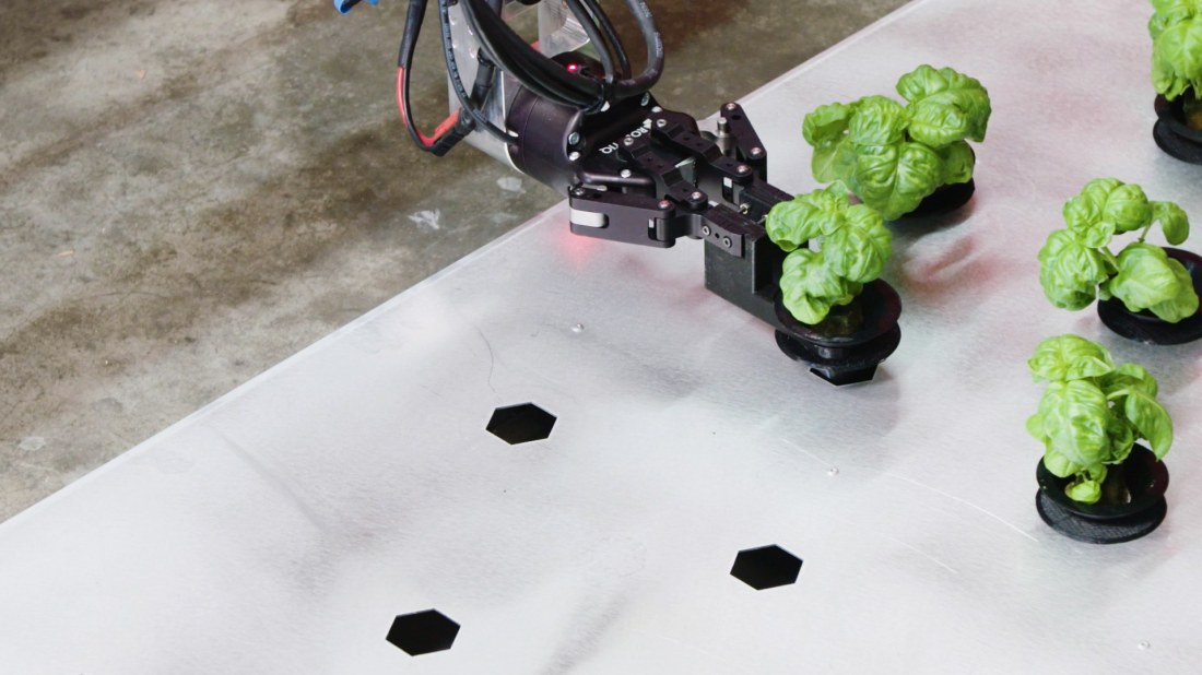 Robotic Indoor Farms by AI Programs
