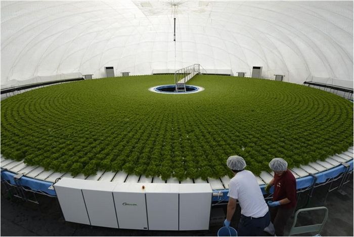 Round Indoor Farm Silo Field