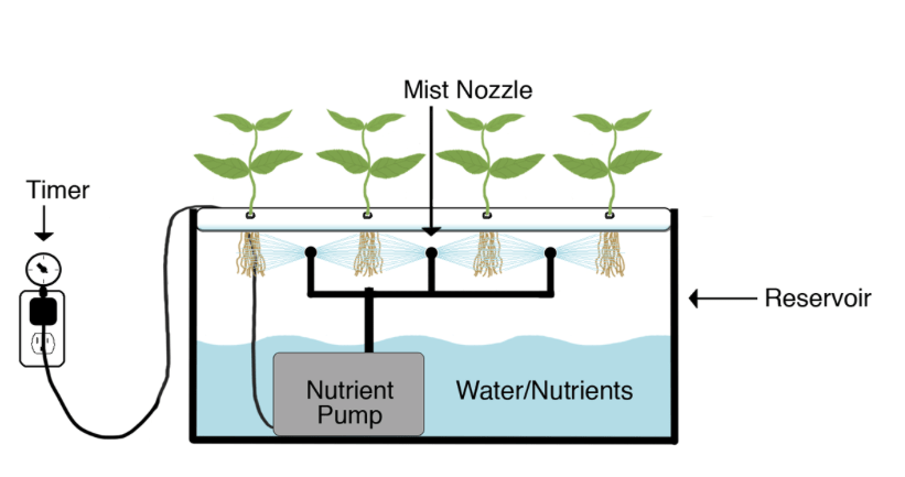 Tips For Watering System