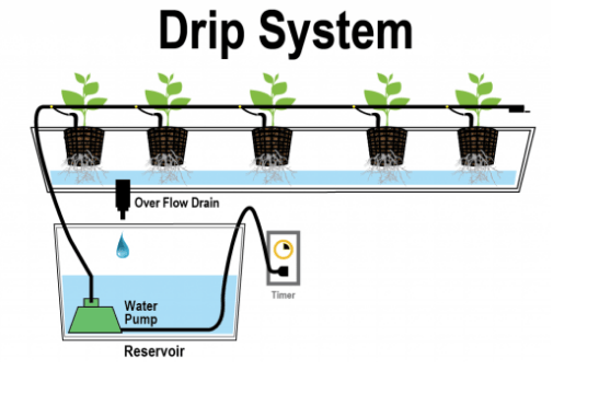 Tips For Watering Systems