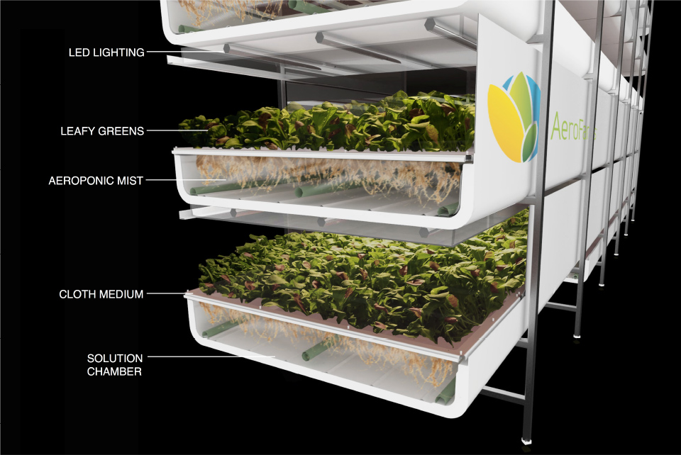 Vertical Farm Levels