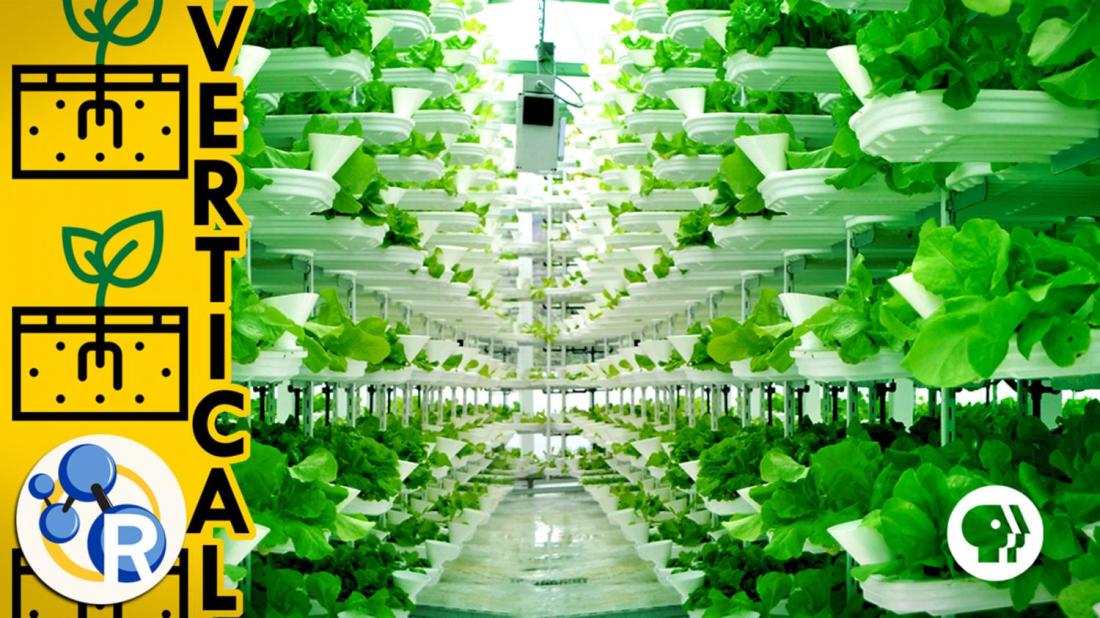 Vertical Farms
