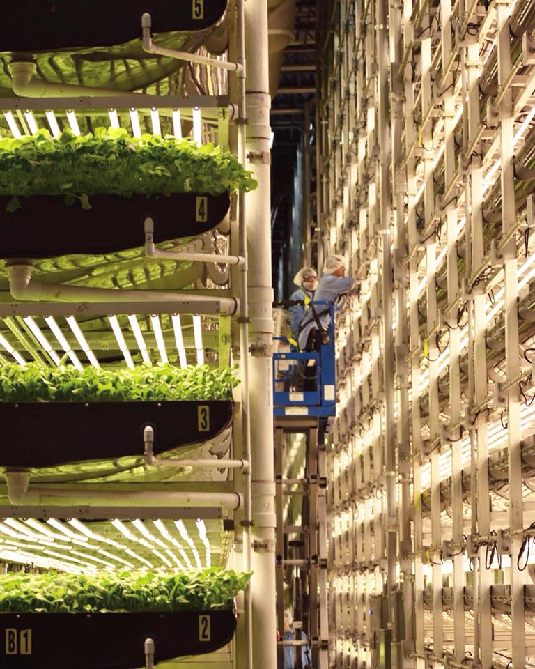 Vertical Indoor Farms