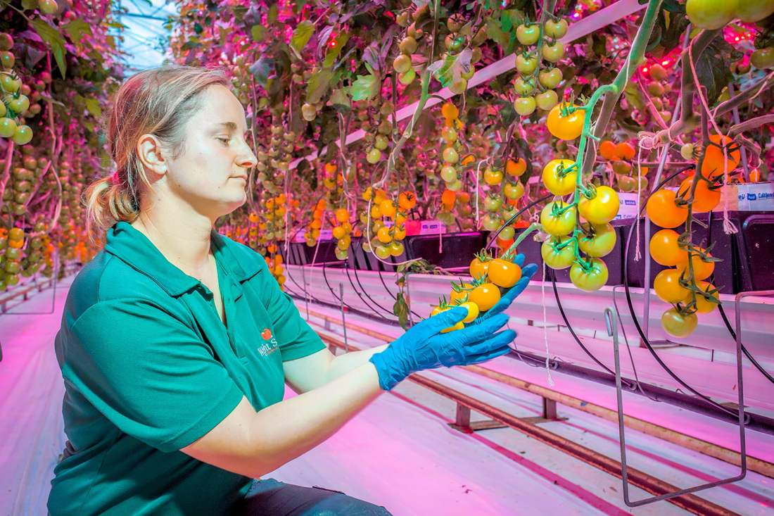 White People Future Food Productions System