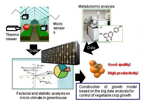 White People With Indoor Farms Concepts For Better Food Quality Productions